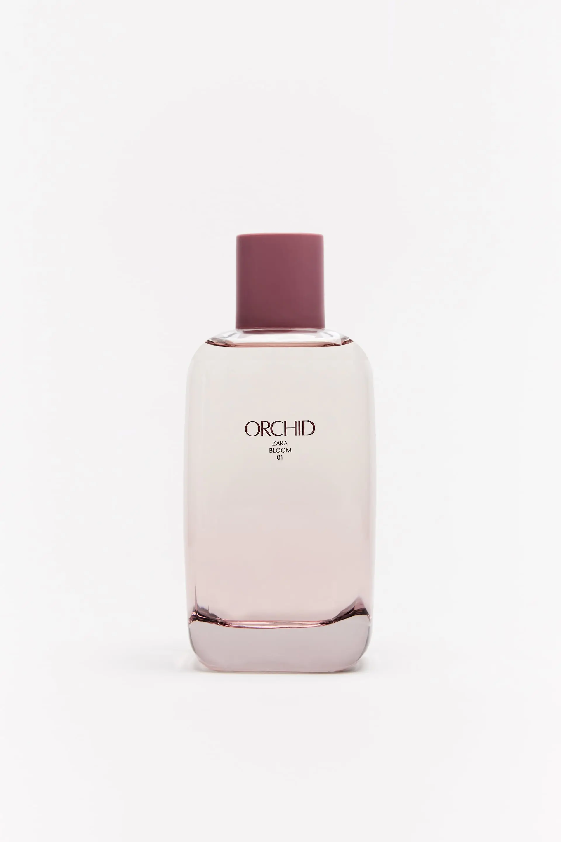 Zara orchid